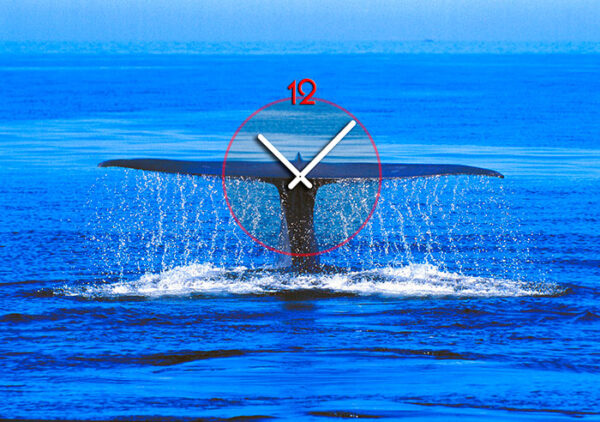 6079-0003-1.jpg
