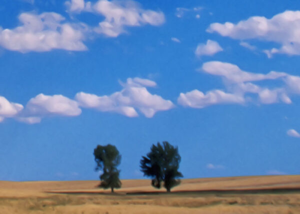 6111-0003-3.jpg