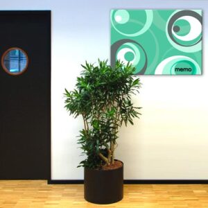 P0162-0003-2.jpg